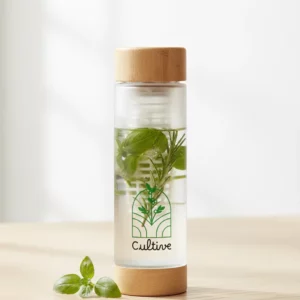 Bouteille infuseur pour boissons aux herbes et fruits