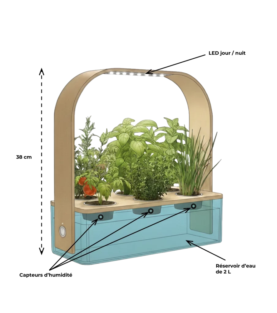 Schéma potager connecté