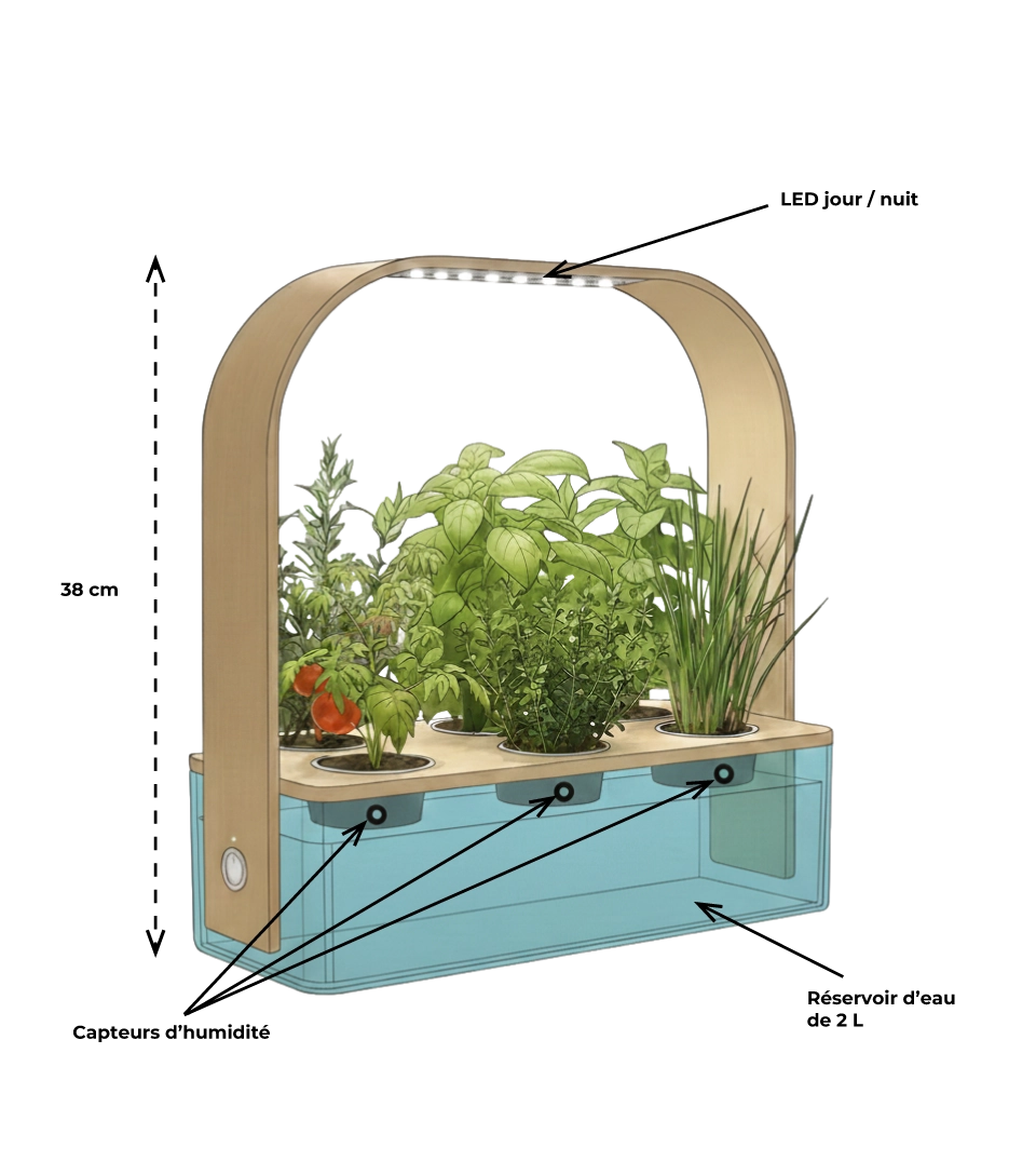 Schéma potager connecté