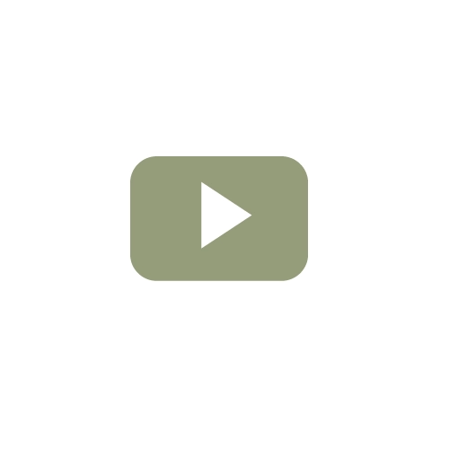 Icone youtube