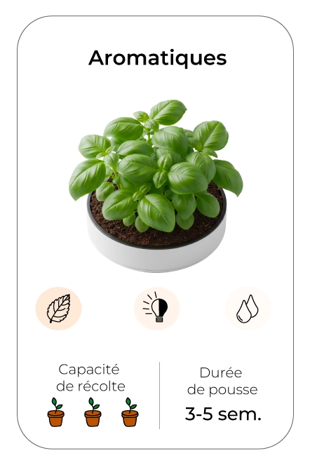Visuel aromatique